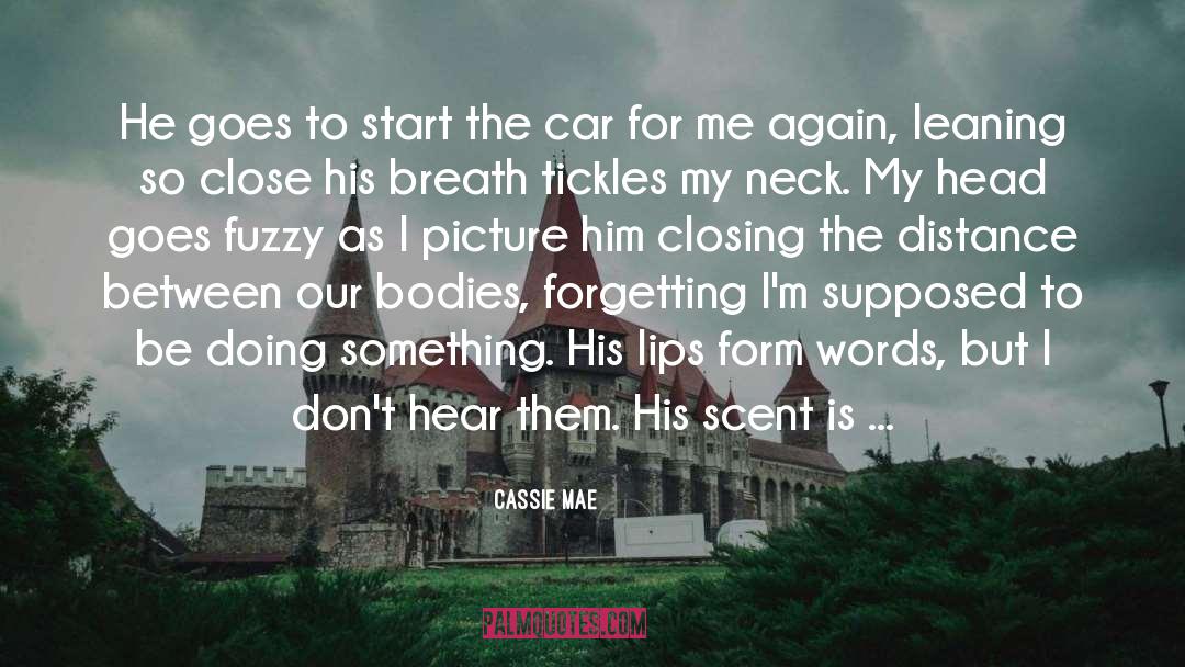 Holy Crap quotes by Cassie Mae