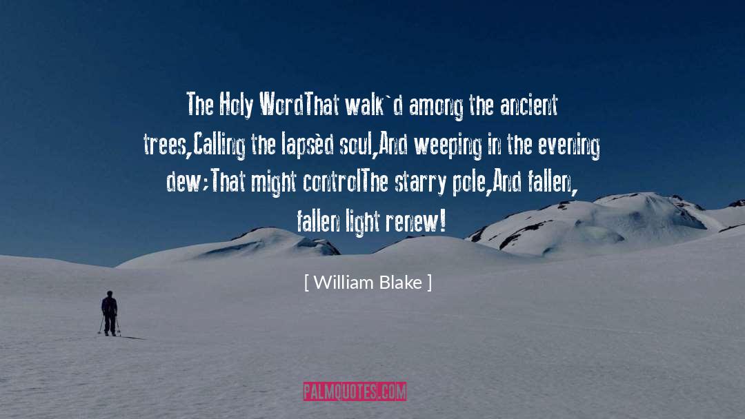 Holy Fool quotes by William Blake