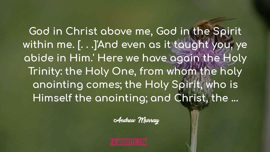 Holy In Christ quotes by Andrew Murray