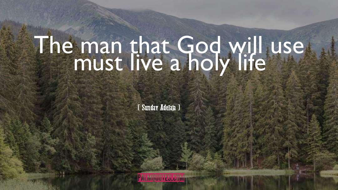 Holy Life quotes by Sunday Adelaja
