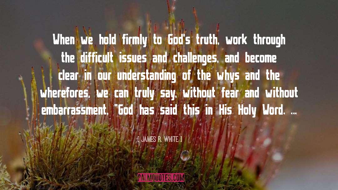 Holy Rosary quotes by James R. White