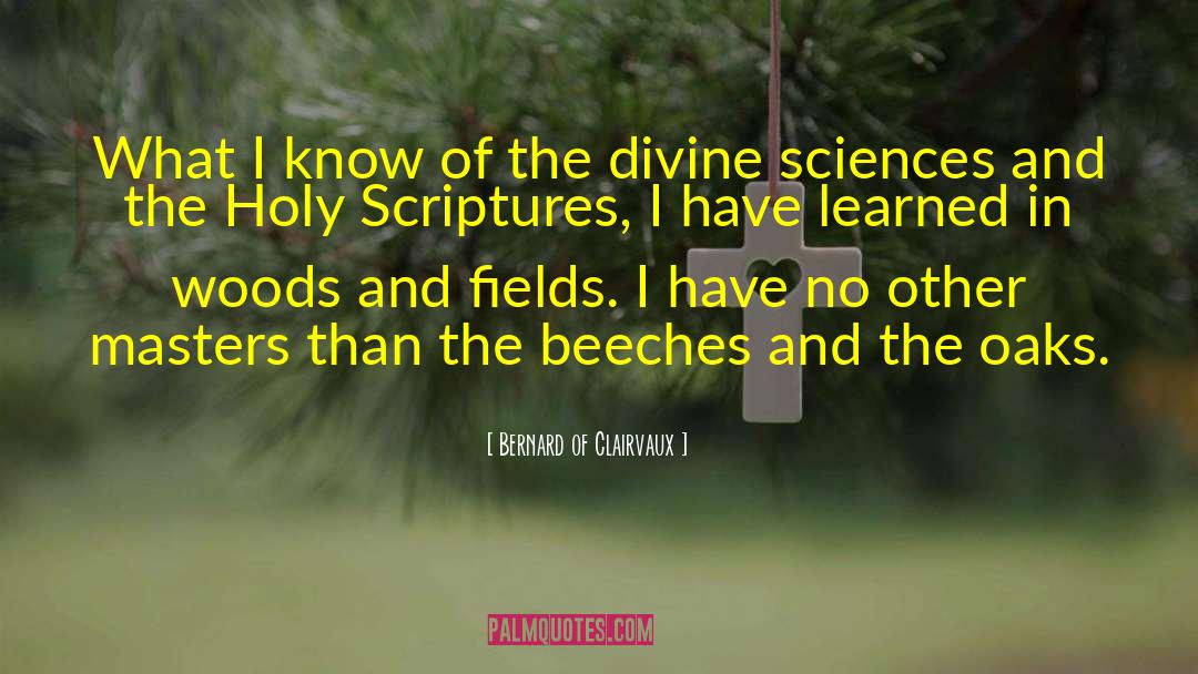 Holy Scriptures quotes by Bernard Of Clairvaux