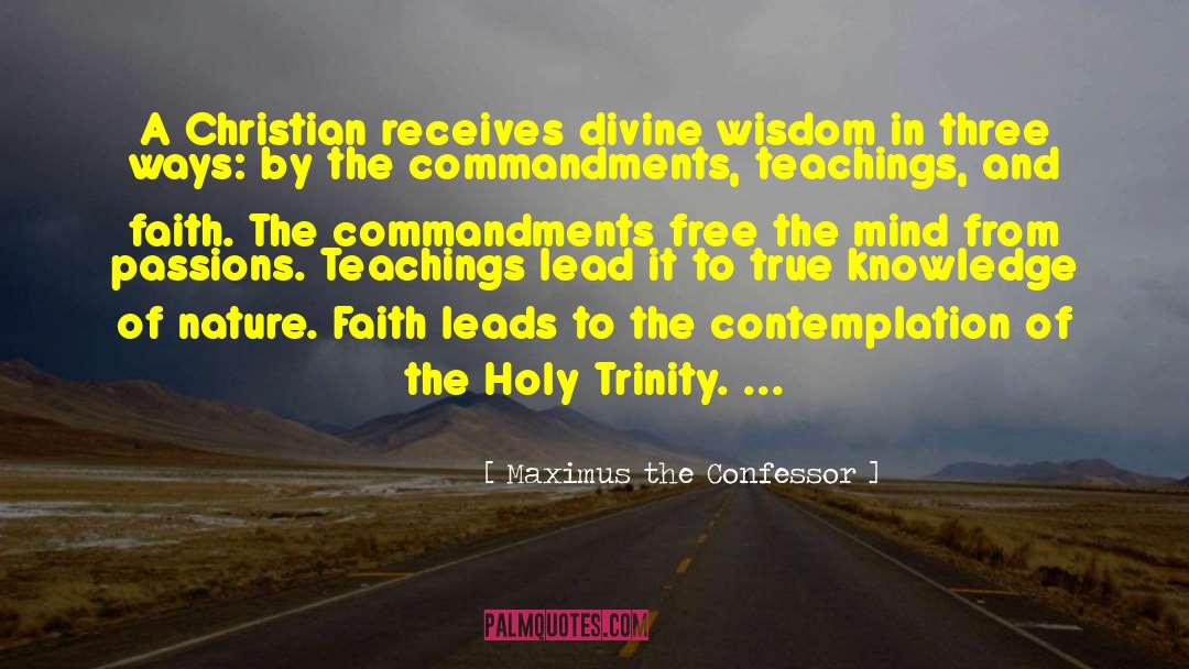 Holy Trinity quotes by Maximus The Confessor