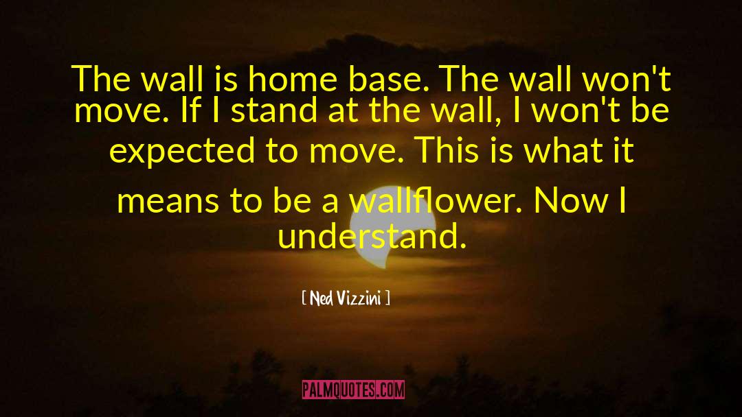 Home Base quotes by Ned Vizzini