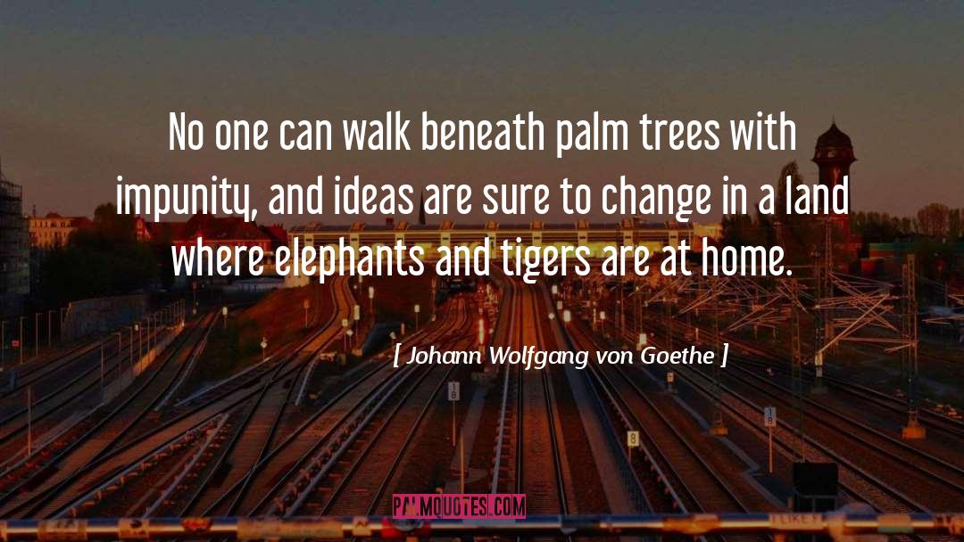 Home Cooking quotes by Johann Wolfgang Von Goethe