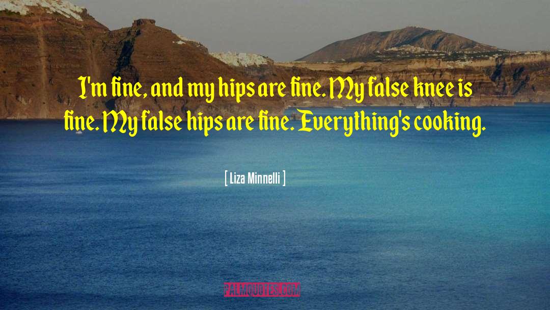 Home Cooking quotes by Liza Minnelli