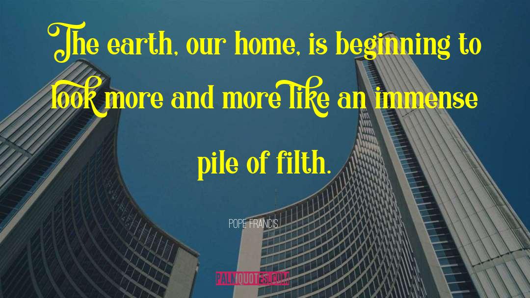 Home Environment quotes by Pope Francis