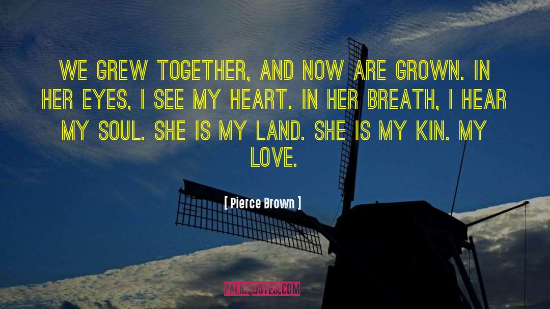 Home Is My Heart quotes by Pierce Brown
