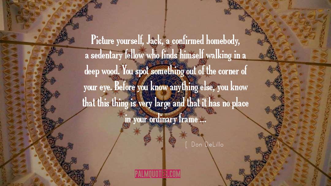 Homebody quotes by Don DeLillo