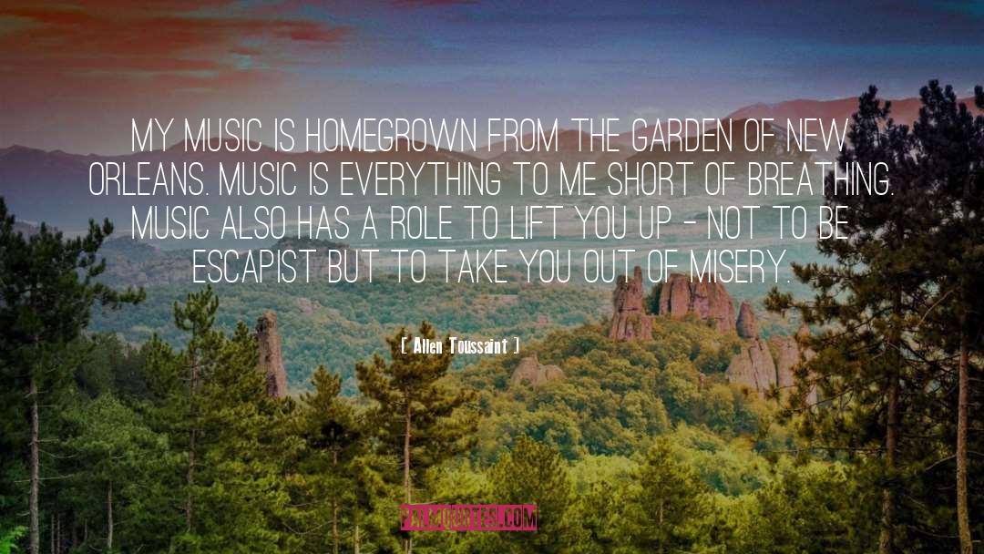 Homegrown quotes by Allen Toussaint