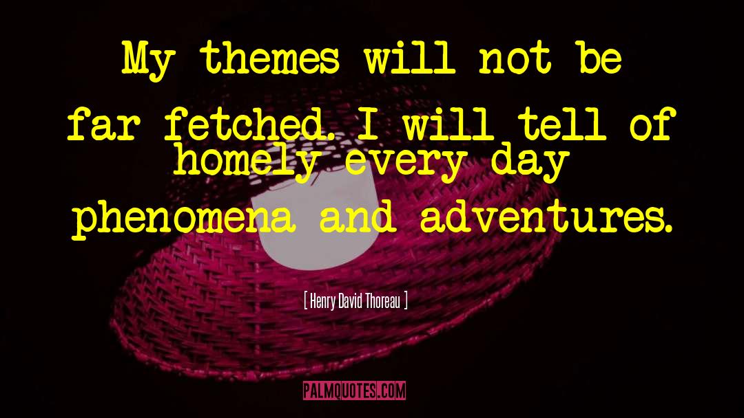 Homely quotes by Henry David Thoreau