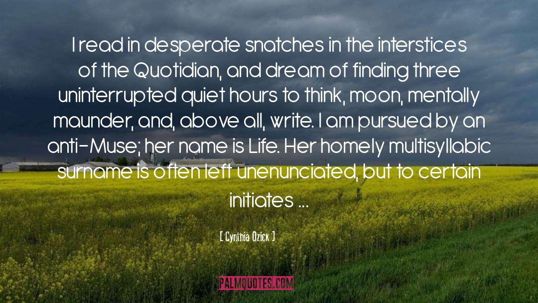 Homely quotes by Cynthia Ozick