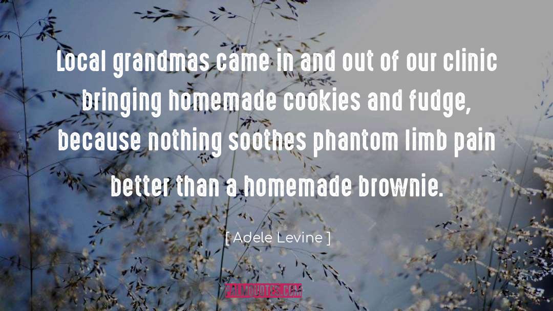 Homemade quotes by Adele Levine