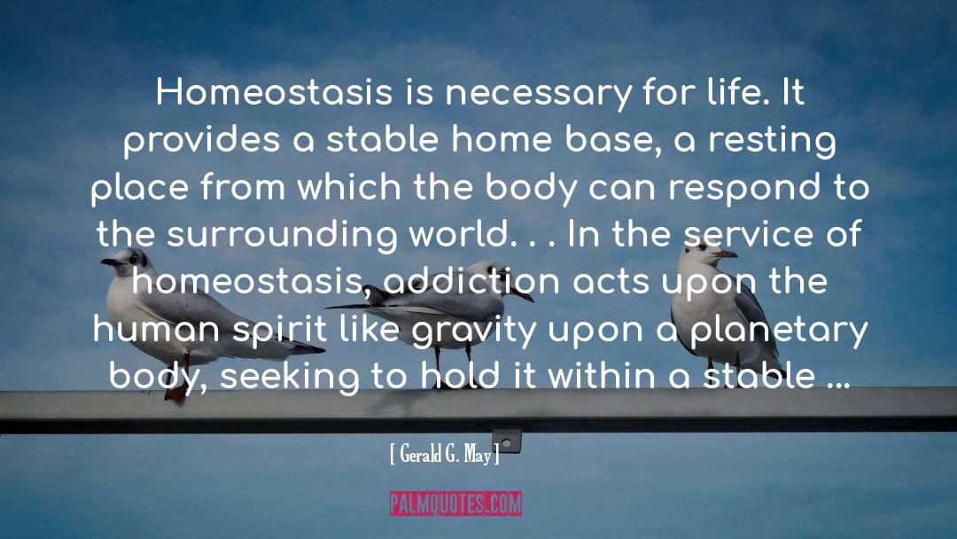 Homeostasis quotes by Gerald G. May