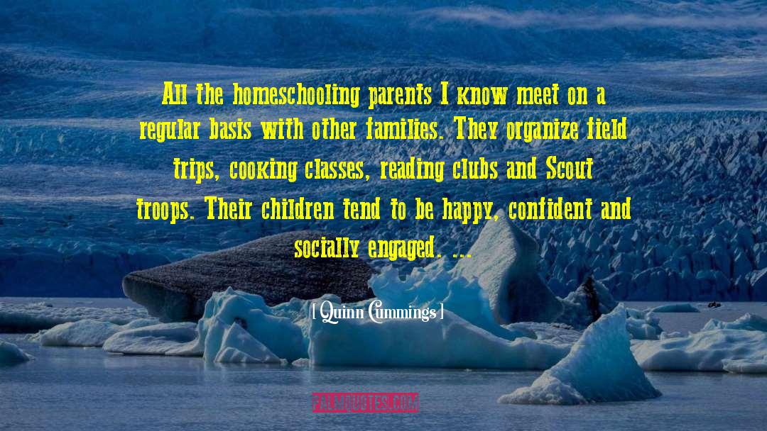 Homeschooling quotes by Quinn Cummings