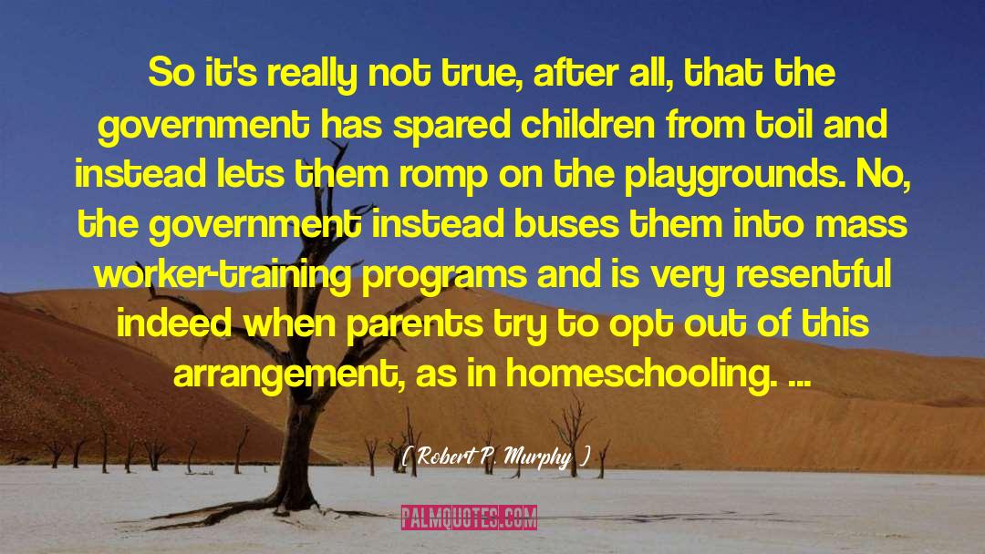 Homeschooling quotes by Robert P. Murphy