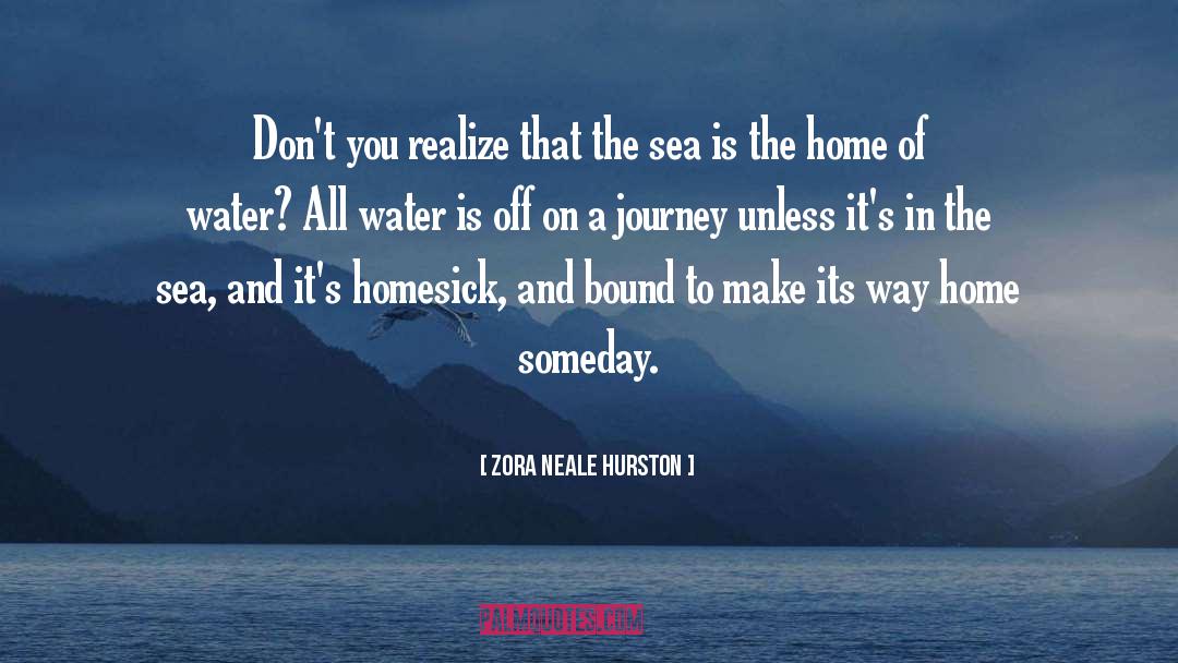 Homesick quotes by Zora Neale Hurston