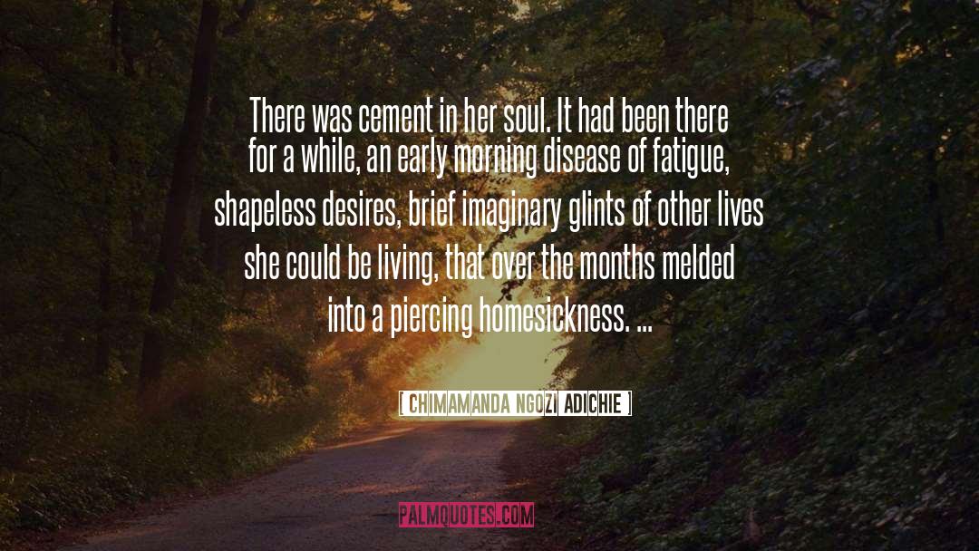 Homesickness quotes by Chimamanda Ngozi Adichie
