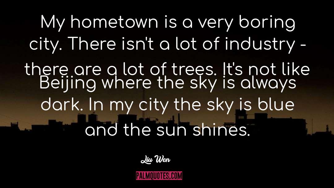 Hometown quotes by Liu Wen