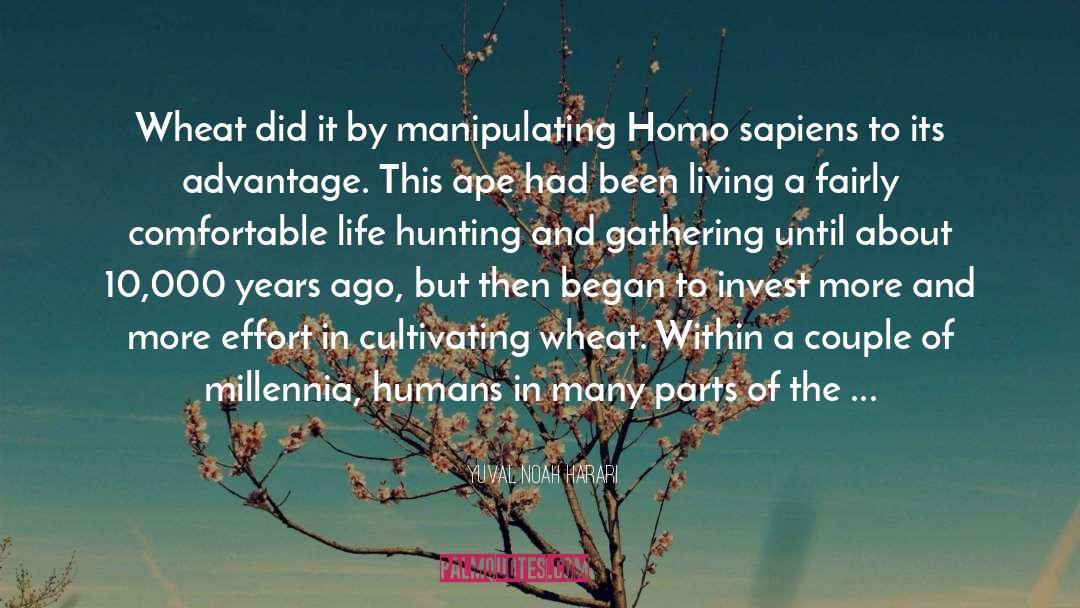 Homo Ergaster quotes by Yuval Noah Harari