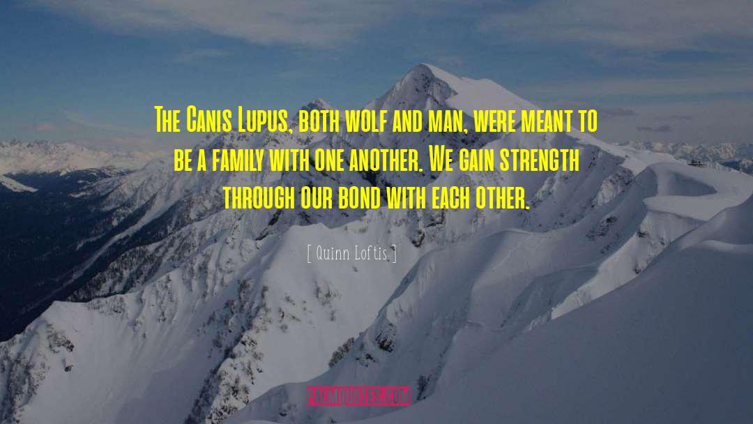 Homo Homini Lupus quotes by Quinn Loftis