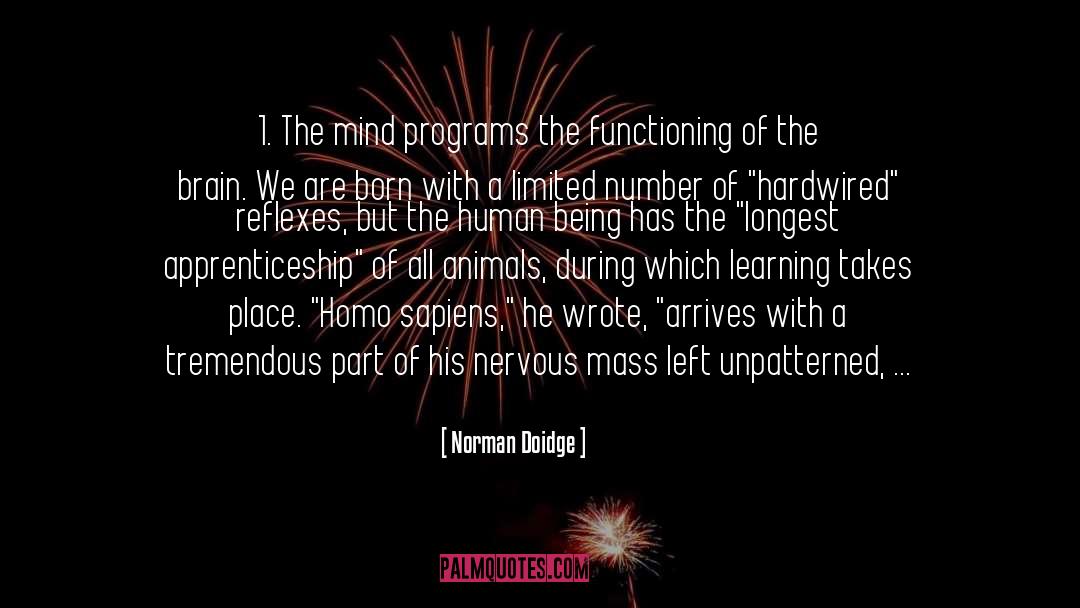 Homo Sapiens quotes by Norman Doidge