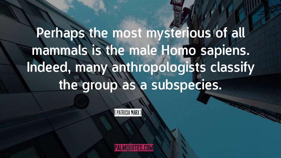 Homo Sapiens quotes by Patricia Marx