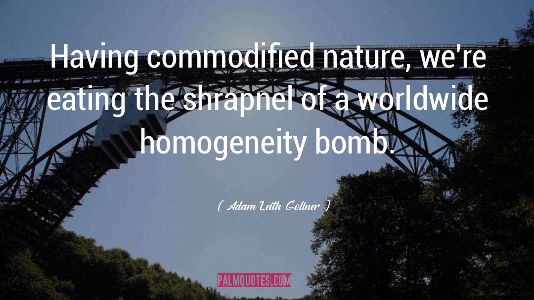 Homogeneity quotes by Adam Leith Gollner