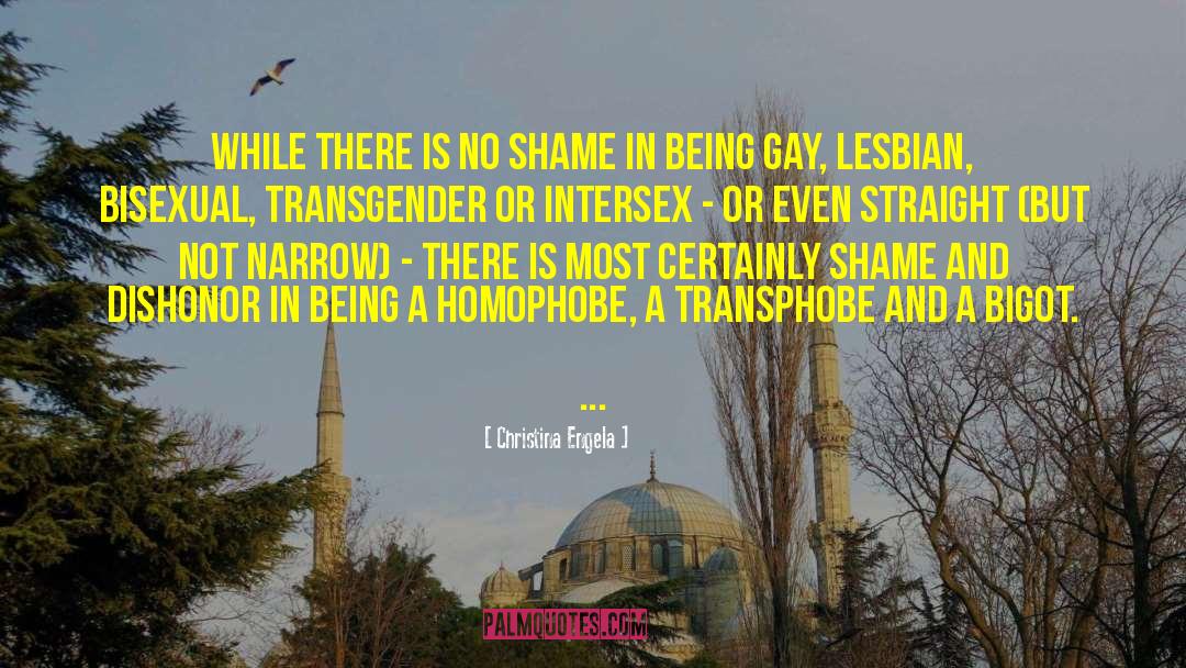 Homophobe quotes by Christina Engela