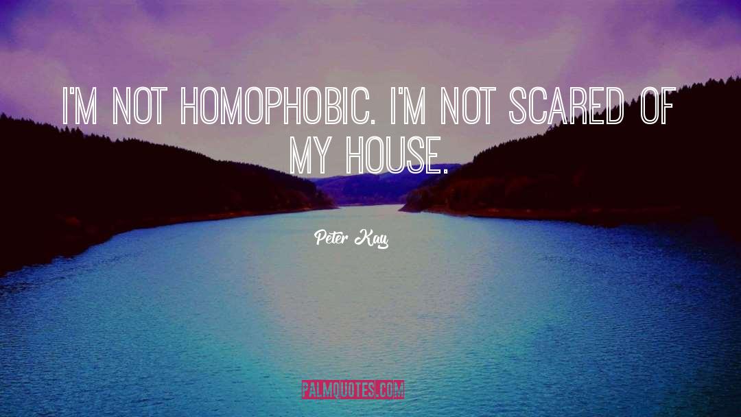 Homophobic quotes by Peter Kay