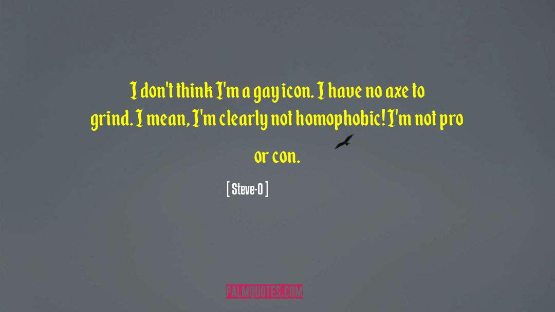 Homophobic quotes by Steve-O