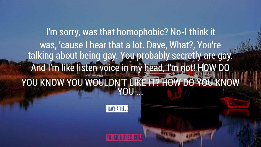 Homophobic quotes by Dave Attell