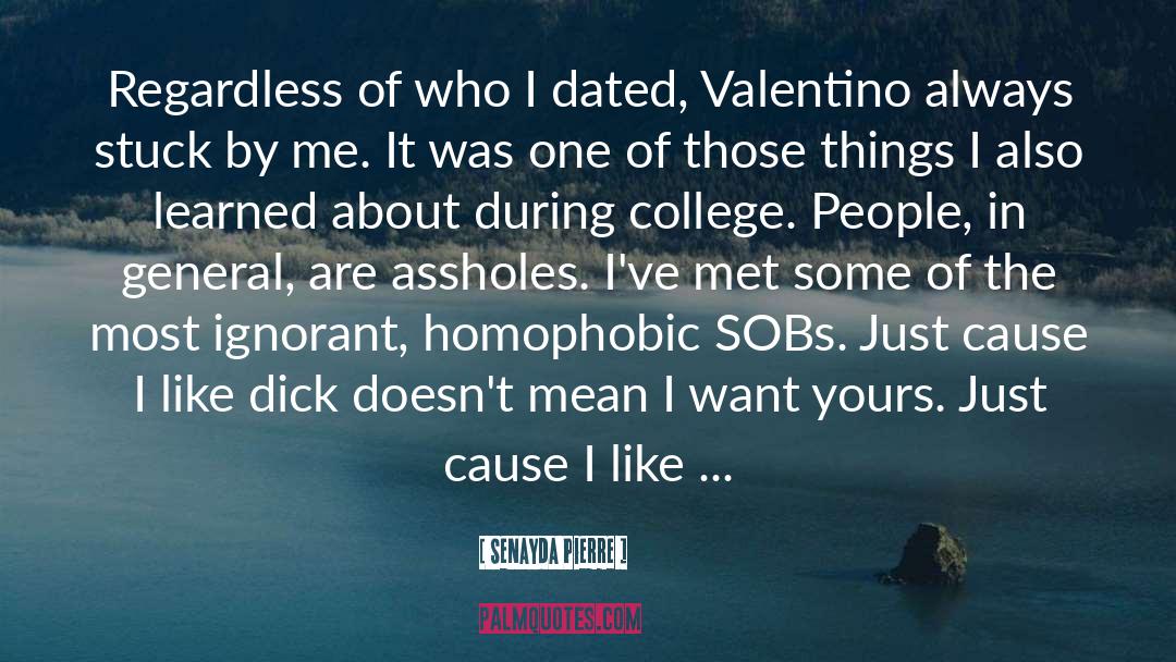Homophobic quotes by Senayda Pierre