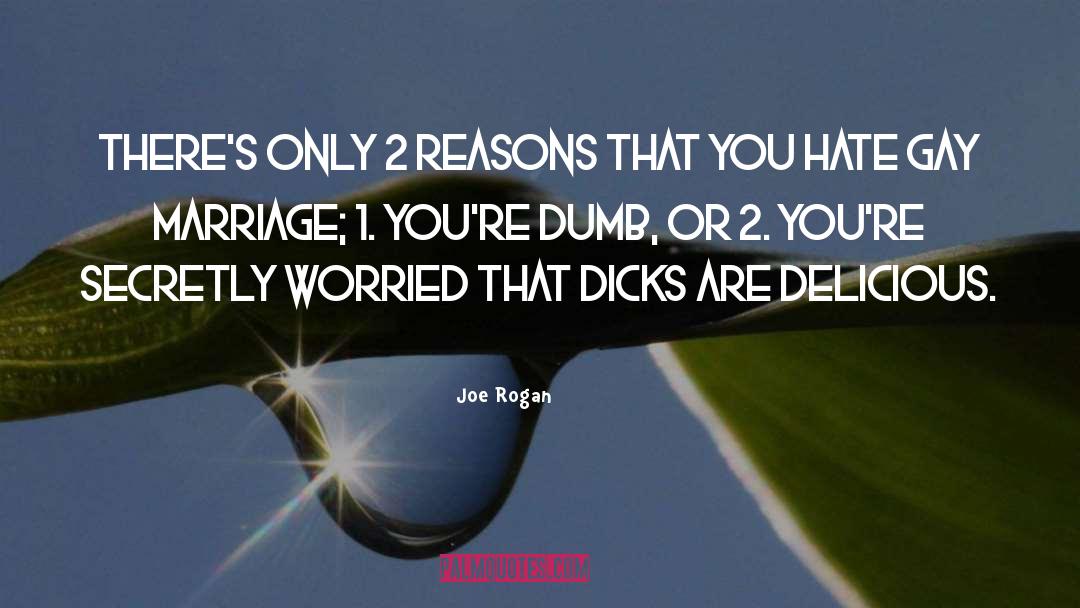 Homosexual Marriage quotes by Joe Rogan