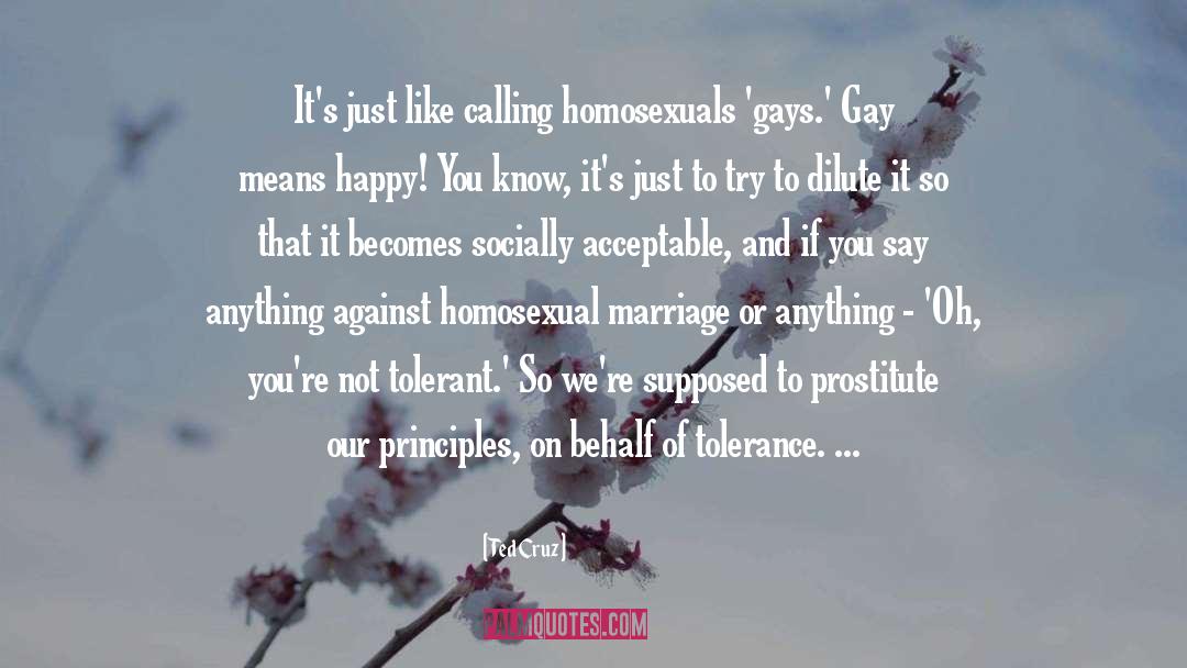 Homosexual Marriage quotes by Ted Cruz