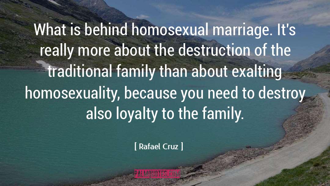 Homosexual Marriage quotes by Rafael Cruz