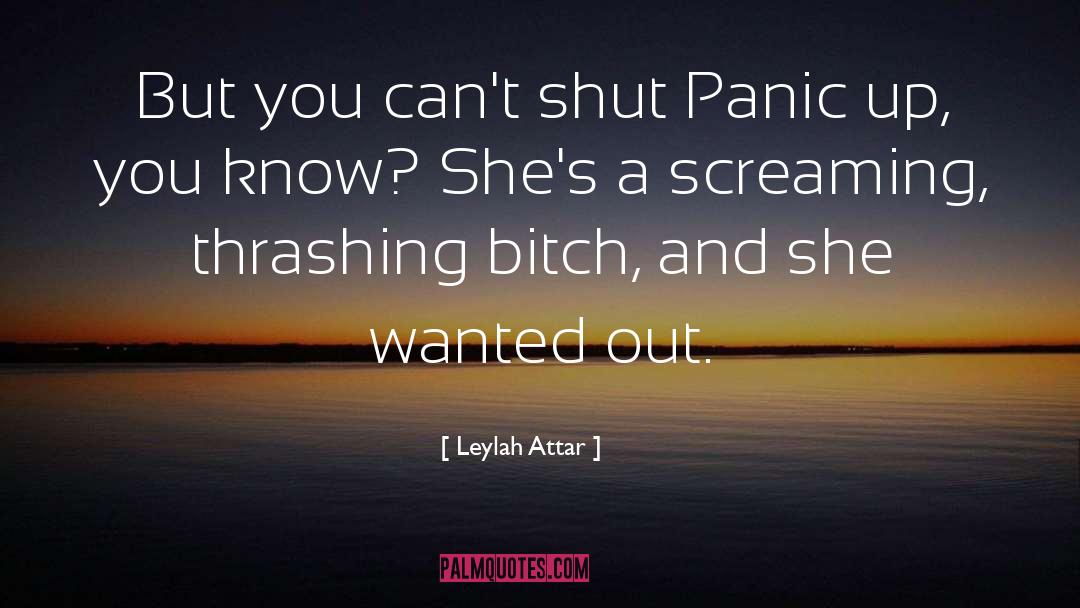 Homosexual Panic quotes by Leylah Attar