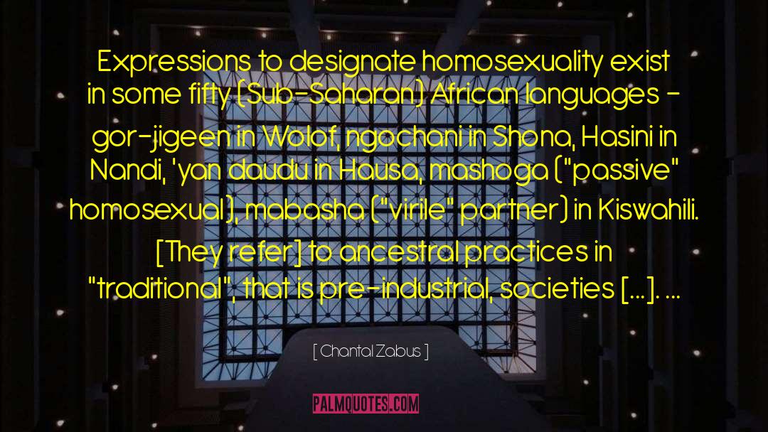 Homosexuality In Africa quotes by Chantal Zabus