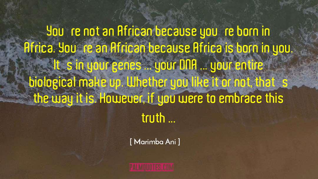 Homosexuality In Africa quotes by Marimba Ani