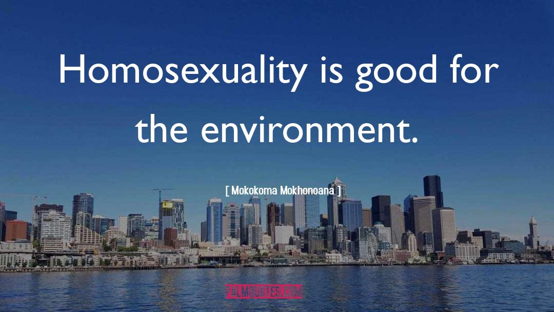 Homosexuality In Islam quotes by Mokokoma Mokhonoana