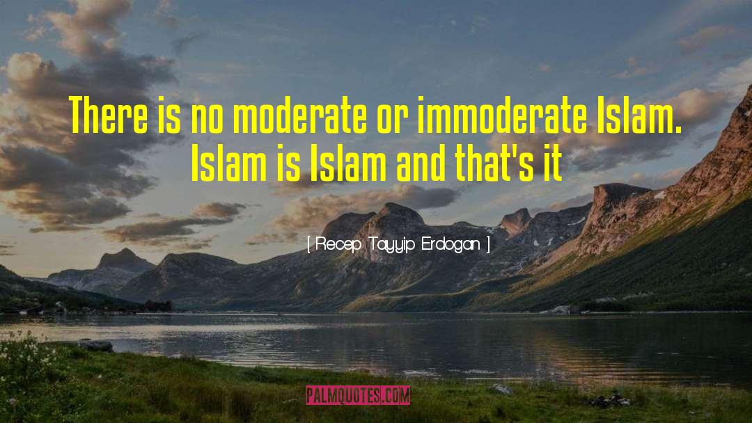 Homosexuality In Islam quotes by Recep Tayyip Erdogan