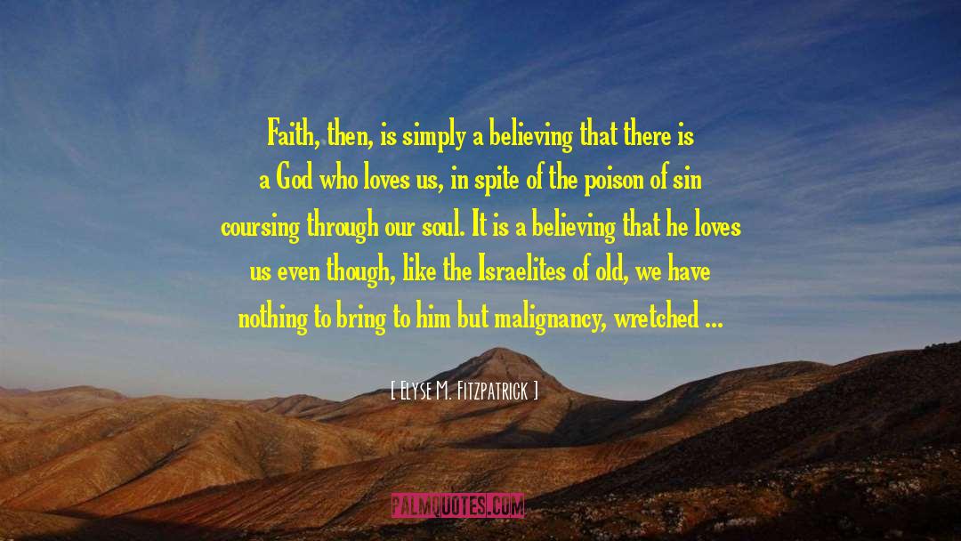 Homosexuality Is A Sin quotes by Elyse M. Fitzpatrick