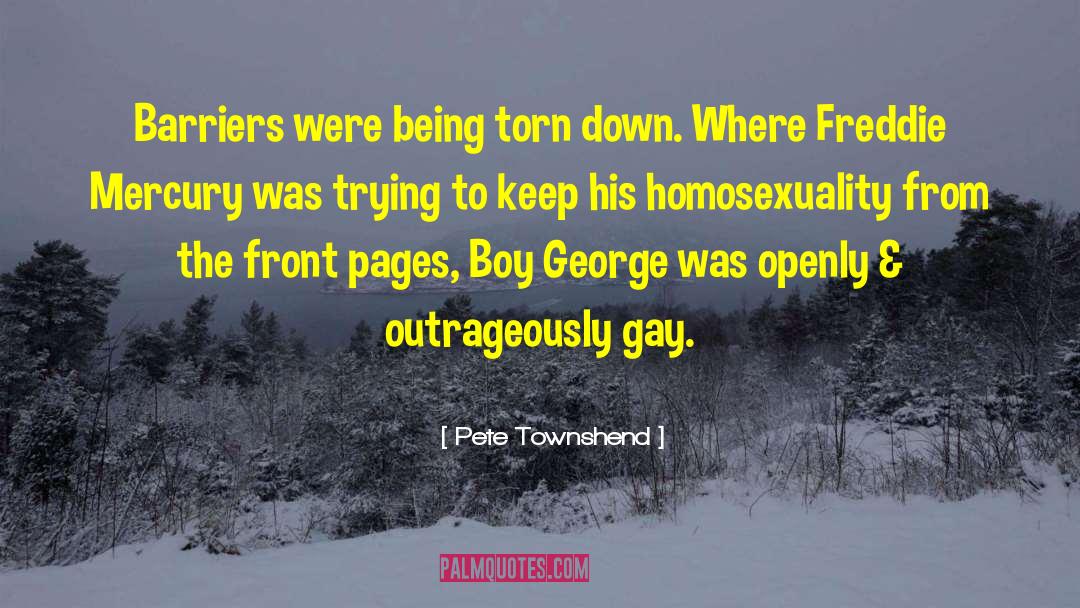 Homosexuality quotes by Pete Townshend