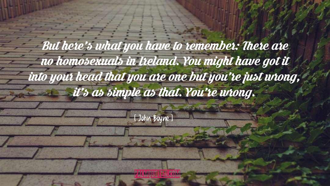 Homosexuals quotes by John Boyne