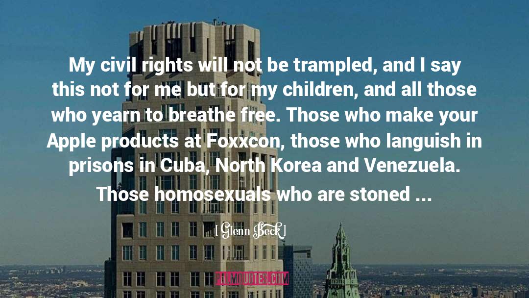 Homosexuals quotes by Glenn Beck