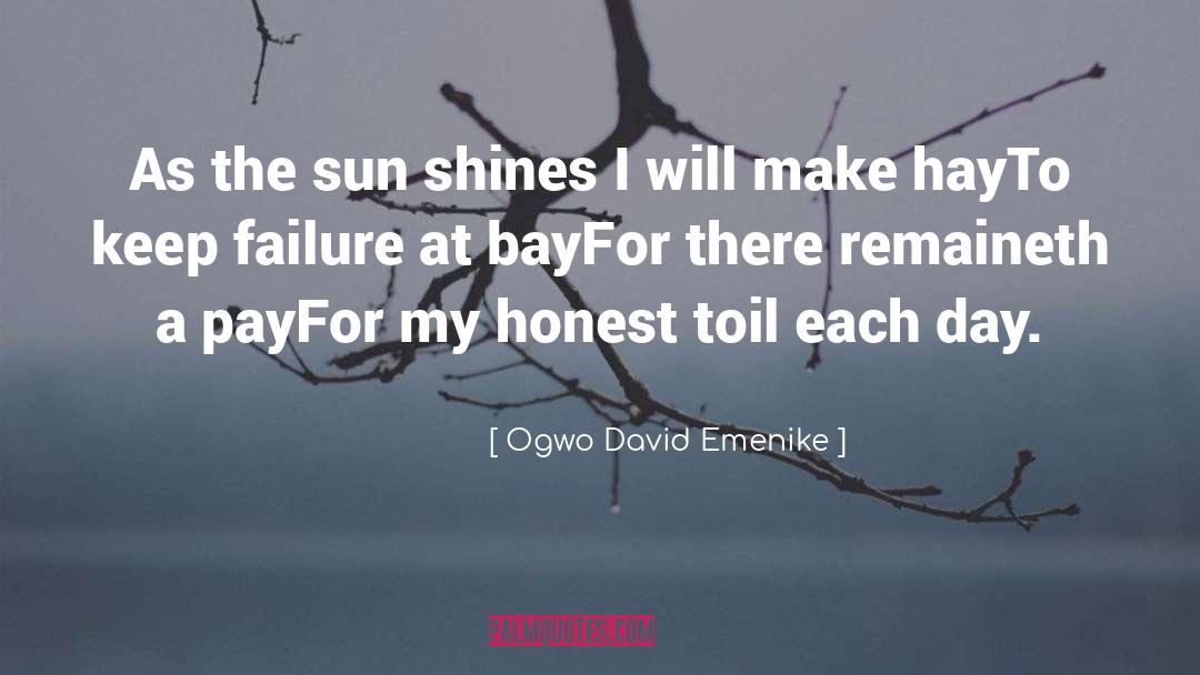 Honest Toil quotes by Ogwo David Emenike