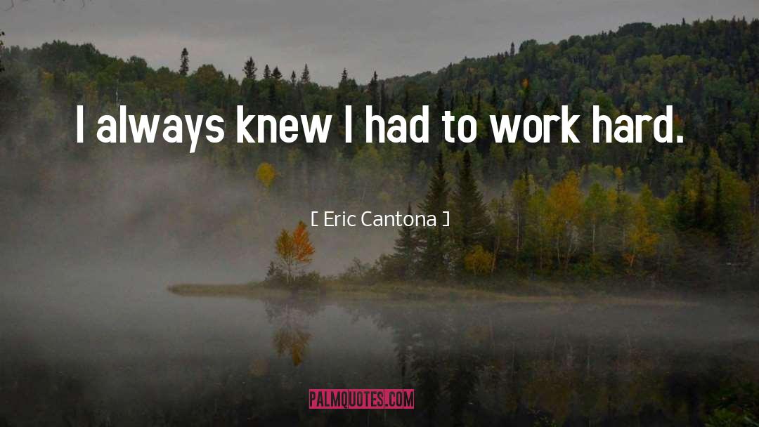 Honest Work quotes by Eric Cantona