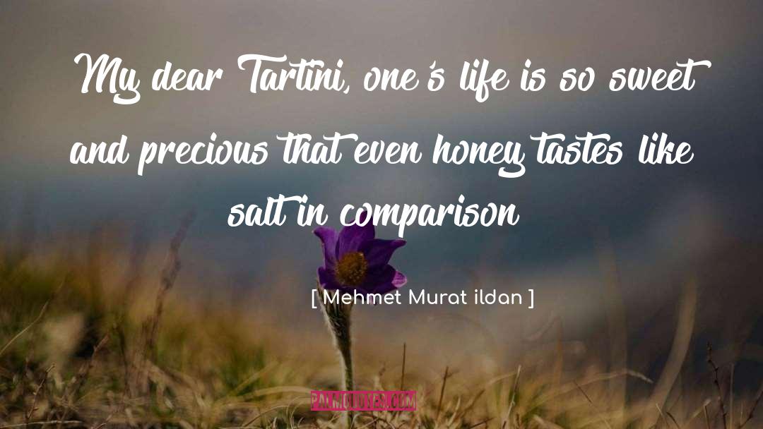 Honey And Clover quotes by Mehmet Murat Ildan