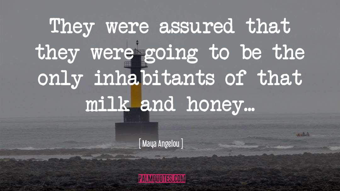 Honey And The Bee quotes by Maya Angelou