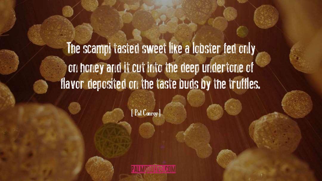 Honey And The Bee quotes by Pat Conroy